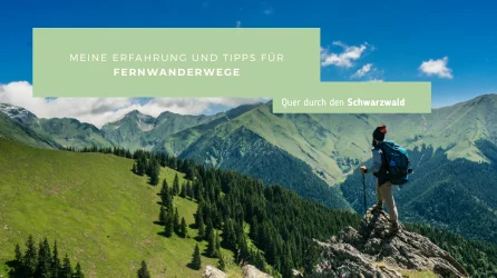 Quer durch den Schwarzwald: Meine Erfahrung und Tipps für Fernwanderwege