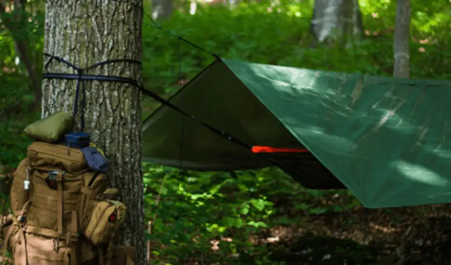 Alles was Du zu Tarps wissen musst