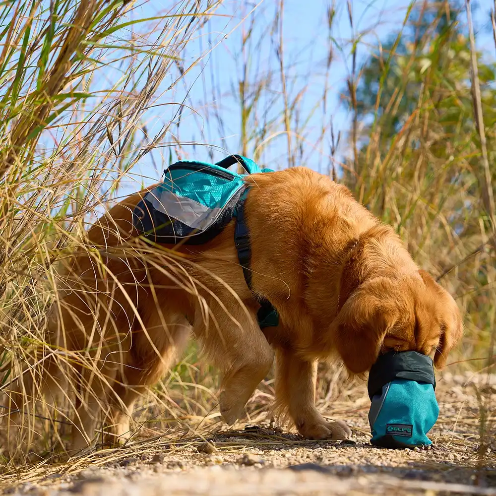 OLIFE Pawtour Reise-Trockenfutterbeutel für Hunde set